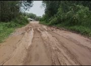 Menguak Kembali Polemik Jalan Pertamina Melalui Pendekatan Sejarah (Melawan Lupa)