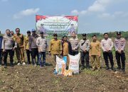 Dukung Ketahanan Pangan di Serang, Polsek Petir Tanam Jagung