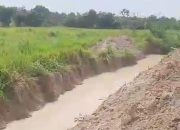 Dukung Ukuran Ulang HGU SGC Warga Bakung Tulang Bawang Siap Berjuang