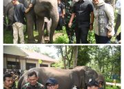 Ketua DPRD Lampung: Atensi Presiden Jadikan Way Kambas Percontohan Nasional Harus Dikawal Bersama