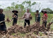 Polri Gerak Cepat Dukung Ketahanan Pangan, Bhabinkamtibams Turun Langsung Ke Lahan Pertanian Bantu Petani