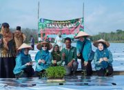 Terapkan Smart Farming Cabai, Tubaba Perkuat Ketahanan Pangan