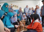 TP-PKK Tubaba Perkuat Sinergi Melalui Kunjungan Kaji Tiru TP-PKK OKI