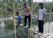 Bhabinkamtibmas Polsek Menggala Bergerak Cepat, Doromg Potensi Lahan Menjadi Kekuatan Ketahan Pangan Tulang Bawang