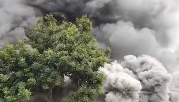 Situasi di lokasi perkebunan PT Bumi Sentosa Abadi (BSA), Dusun Sriwaya, Kampung Aji Tuha, Kecamatan Anak Tuha, Kabupaten Lampung Tengah, mendadak memanas.