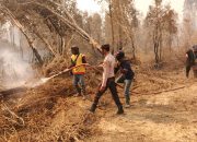 Lahan Gambut dan Semak Belukar Terbakar, Polisi Pastikan 38 Titik Api Berhasil Padam